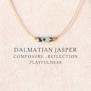 Aesthetic dalmatian jasper necklace for women Crystal jewelry