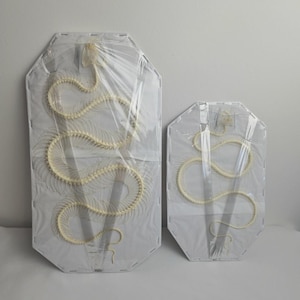 May include: Two framed snake skeleton art pieces. The skeletons are cream-coloured and arranged in a serpentine pattern against a white background. The frames are octagonal and covered in clear plastic. The larger frame is approximately 76 cm tall.
