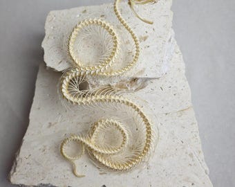 Rolling Trimeresurus albolabris Skeleton: A1 Quality