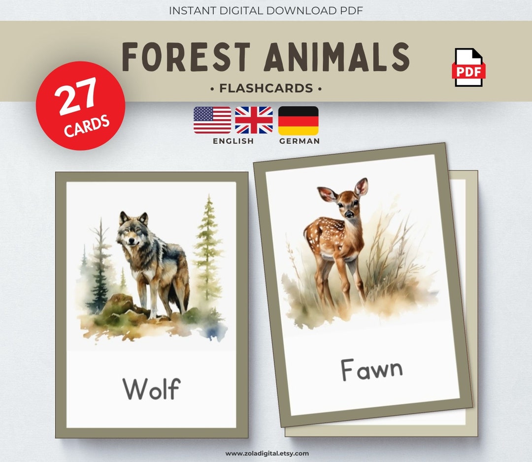 Forest Animals 27 Printable Flashcards. Woodland Animals Etsy