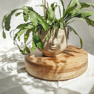 EICHE | Personalisierbarer Blumentopf auf Rollen, Blumentopf aus Holz, Unterlage für einen großen Blumentopf