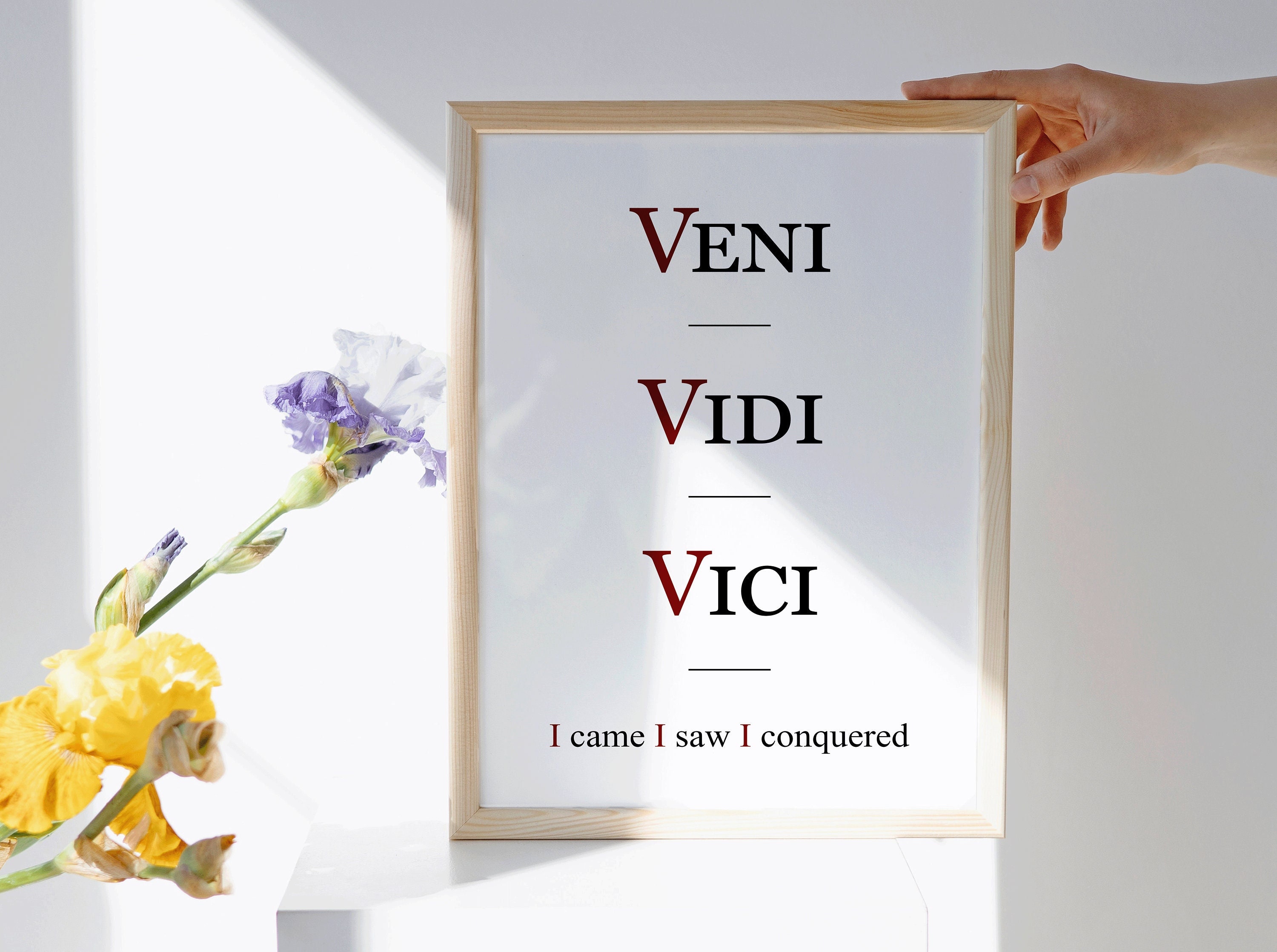 Veni Vidi Vici Poster for Sale by JPK21