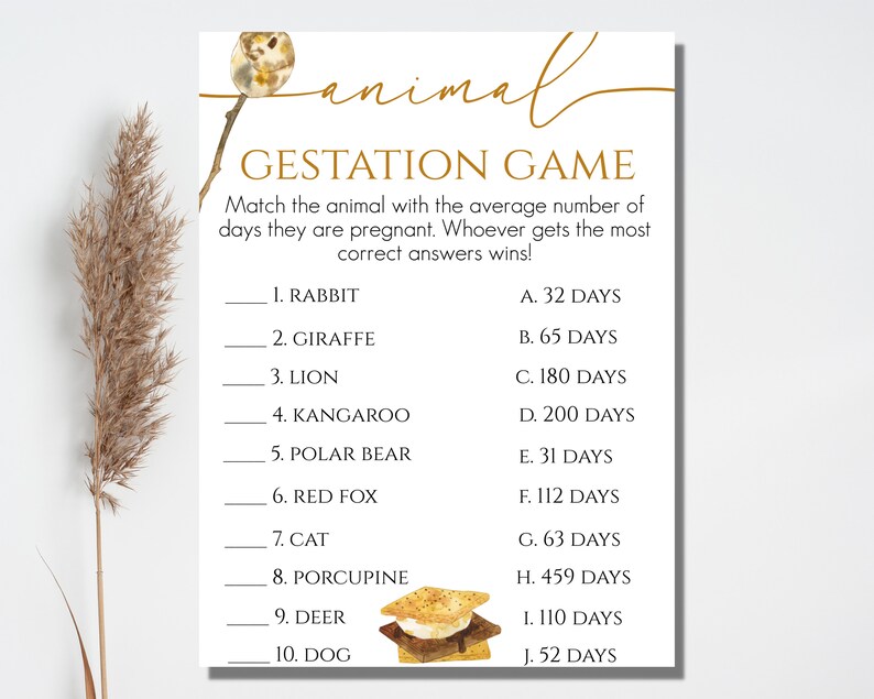 S'more Baby Shower Game Bundle Camping Baby Shower Smore Etsy