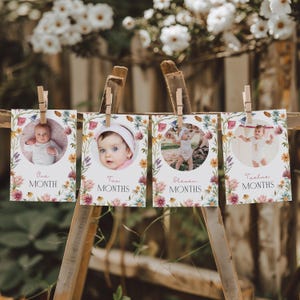 Bannière photo d'anniversaire fleurs sauvages, petites cartes-photos d'étape mensuelle 1er anniversaire fleurs sauvages, décoration de jardin premier anniversaire fille, CLP48