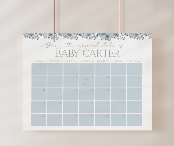 Blue Floral Baby Shower, Guess Due Date Calendar Game (24x18) CLP51