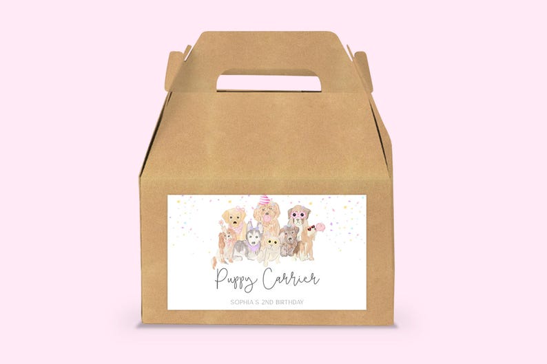 K&ouml;nnte beinhalten: Ein brauner Karton mit einem Griff, verziert mit einem Aufkleber, der eine Gruppe von Cartoon-Welpen zeigt, die Partyh&uuml;te tragen. Der Aufkleber lautet "Puppy Carrier" und "Sophia's 2nd Birthday".