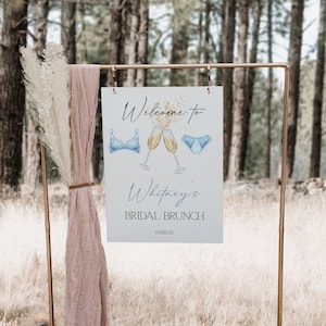 Lingerie Shower Welcome Sign, Modern Lingerie Shower, Lingerie Party Decor, Rose and Lingerie, Bridal Shower, Blue Lingerie + Champagne