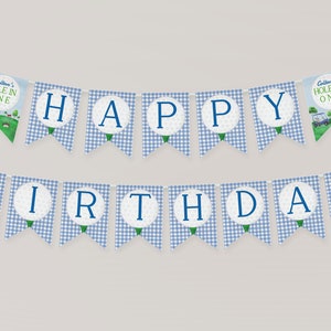 May include: A blue and white gingham banner with golf ball cutouts and the words "Happy Birthday". The banner also includes two golf-themed flags with the text "Colton's Hole in One".