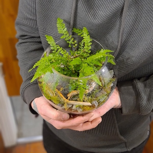 Terrarium Kit Etsy Australia