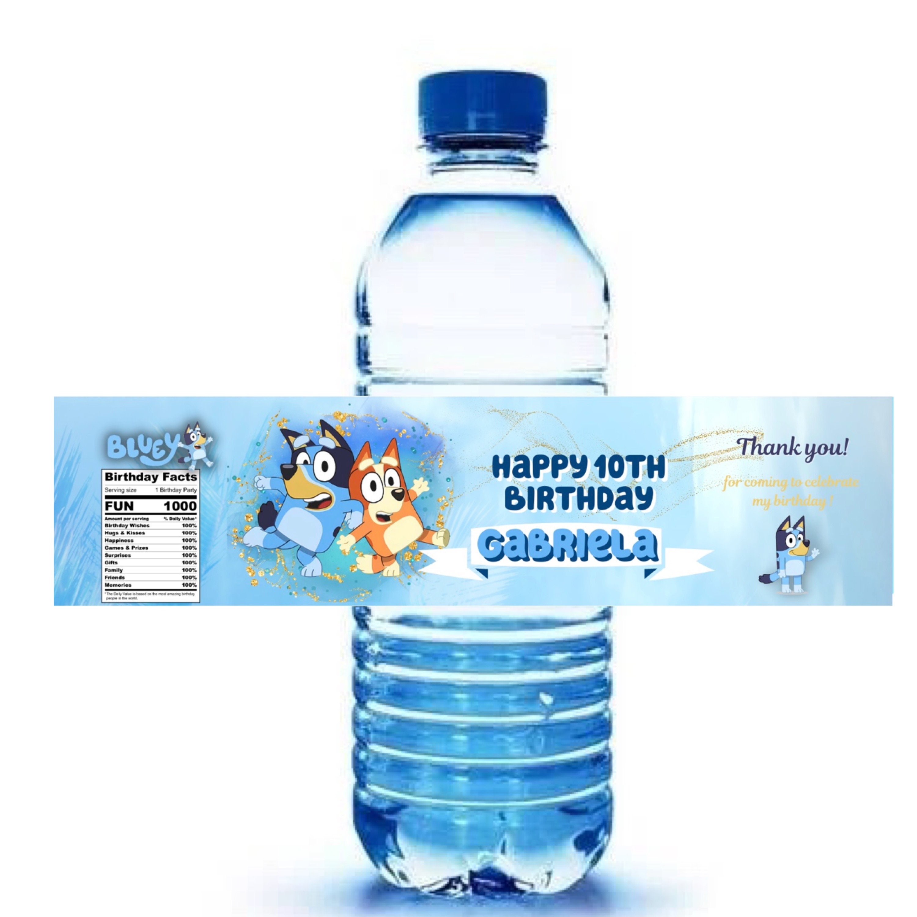 Bluey Decorate Your Own Water Bottle 