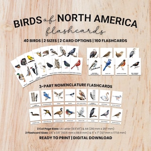 North American Birds Flashcards | Three-Part Montessori Cards | 40 Birds | Nature Study | Digital Download | Elementary Learning