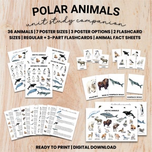 Polar Animals Poster & Flashcard Bundle, Wildlife Art Print, Watercolor, Arctic, Antarctic, Fact Sheets, Home Decor, Homeschool Unit Study