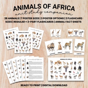 African Animals Poster & Flashcard Bundle, Wildlife Art Print, Watercolor, Elephant, Giraffe, Fact Sheets, Home Decor, Homeschool Unit Study