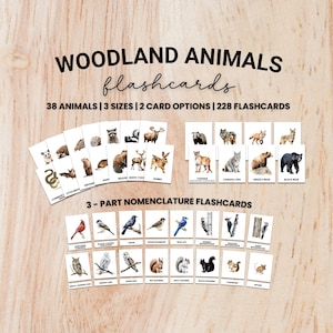 Flashcards sur les animaux des bois | Cartes Montessori en trois parties | 38 animaux | Étude de la nature | Téléchargement numérique | Apprentissage primaire | École à la maison