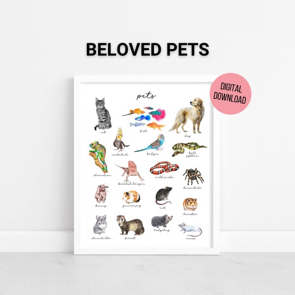 Watercolor Pets Poster, Homeschool Printable, Domestic Animals, Educational Wall Art, Printable Playroom Wall Art, Digital Download