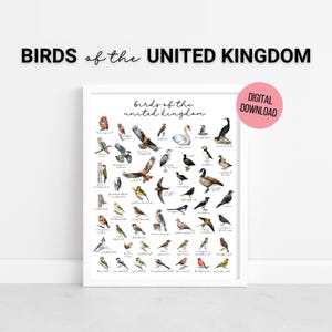Aquarell Vögel des Vereinigten Königreichs Poster, Wanddekor, Homeschool Wissenschaft druckbare, Lehrende Kunst, digitaler Download, Naturstudie