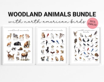 Woodland Bundle - Watercolor Forest Animals & Birds Posters, Homeschool Printable, Nature Study, Educational, Wall Art, Digital Download