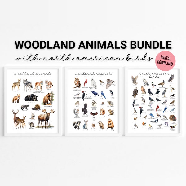 Woodland Bundle - Watercolor Forest Animals & Birds Posters, Homeschool Printable, Nature Study, Educational, Wall Art, Digital Download