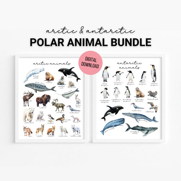 Arctic & Antarctic Animals - Set of 2 Polar Watercolor Posters, Homeschool Printable, Nature Study, Educational Wall Art, Digital Download