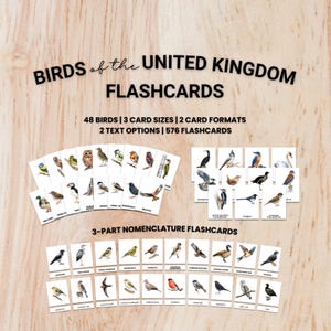May include: A collection of flashcards featuring watercolor illustrations of various bird species. The text "BIRDS of the UNITED KINGDOM FLASHCARDS" is displayed at the top. The cards are arranged on a light wood-grain surface, with the text "48 BIRDS | 3 CARD SIZES | 2 CARD FORMATS | 2 TEXT OPTIONS | 576 FLASHCARDS".