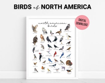 Aquarell nordamerikanische Vögel Poster, Vögel Wanddekor, Homeschool Wissenschaft druckbare, pädagogisch wertvolle Wandkunst, digitaler Download, BONUS Poster