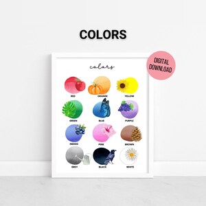 Póster de colores de acuarela, póster de aprendizaje, imprimible para educación en casa, impresión educativa, arte mural imprimible para guardería y sala de juegos, ortografía del Reino Unido y EE. UU.