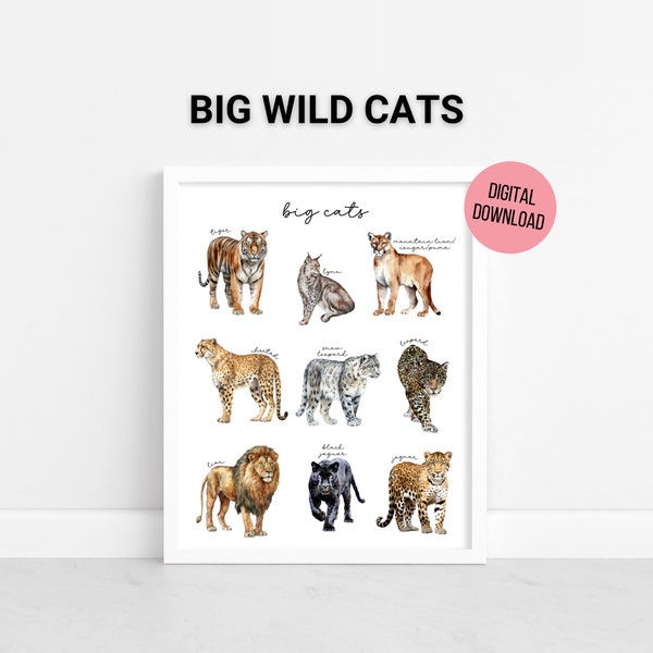 Big Cats Watercolor Poster, Wild Cats, Jungle, Homeschool Printable, Nature Study, Educational Wall Art, Playroom Wall Art, Digital Download