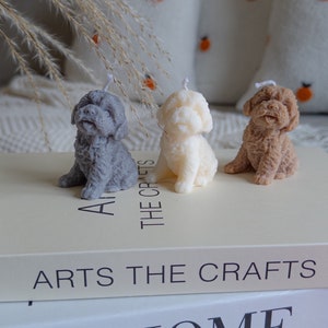 May include: Three small dog-shaped candles, one grey, one white, and one brown, are sitting on a stack of books. The books are titled "Arts The Crafts" and "Home".
