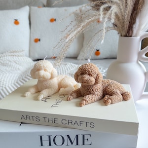 May include: Two decorative poodle candles, one white and one brown, are displayed on a stack of books with the words "Arts the Crafts" and "Home" printed on the covers. The candles are lying on their sides, with their heads facing the viewer. The candles are surrounded by a vase of dried pampas grass.