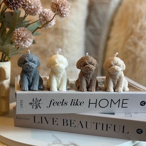 May include: Four dog-shaped candles in shades of grey, white, and brown are displayed on two books. The books read "feels like HOME" and "LIVE BEAUTIFUL". The candles have fur-like textures and white wicks.