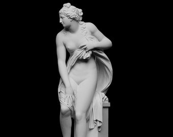 Venus statue, 38 cm, Venus Rising from the Waves Statue, Venus Sculpture | 3D Printed | Office, Shelf Decor | Different Color & Size Option