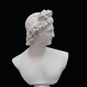 APOLLO Bust, 32 cm Polyester, Greek Roman God Bust Head Statue, Greek Mythology Decor, Greek Roman Goddess, Apollo sculpture, Bust Sculpture