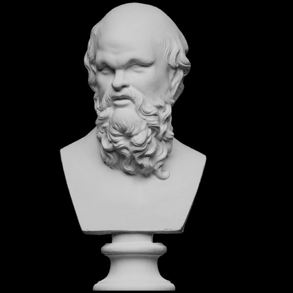 Socrates, Socrates Bust, Greek Philosophers,  Ancient Greek, Greek Bust, Socrates Sculpture, 3DPrintedSculpture, DifferentColor & SizeOption