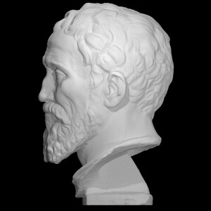 Pu&ograve; includere: Un busto in gesso bianco di un uomo con la barba e i capelli corti. Il busto &egrave; visto di profilo, mostrando il profilo dell'uomo.