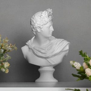 Apollo Bust, 38 cm, Bust of the Apollo Belvedere, Apollo God, Greek Statue, Greek Bust, Roman God Bust, Ancient Bust, Apollo Statue
