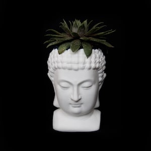 May include: White ceramic bust of Buddha with a green succulent plant growing out of the top of the head.
