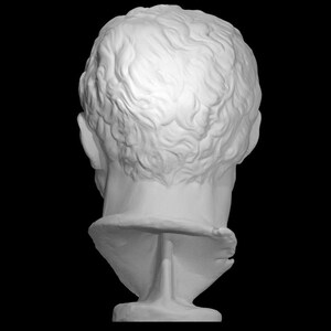 Pu&ograve; includere: Un busto in gesso bianco di una testa e un collo di persona, visto da dietro. Il busto &egrave; su un piedistallo bianco.