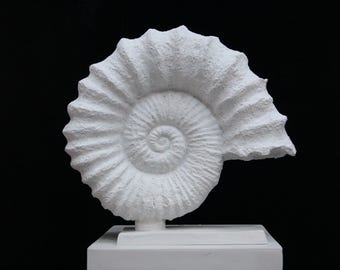 Seashell Sculpture, 32 cm Polyester, Fossil Shell Statue, Shell Art Decor, Oceanic Home Decor, Ocean Inspired Sculpture, Seashell Figurine