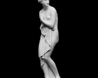 Venus Italica Statue | 38 cm I Ancient Statue, Roman Statue, Office, Shelf Decor | 3D Printed Sculpture | Different Color & Size Option