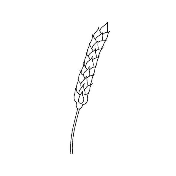 Golden Fields: A Wheat Illustration in SVG, PDF, and PNG Formats - Perfect for diy Crafts and Home Decor