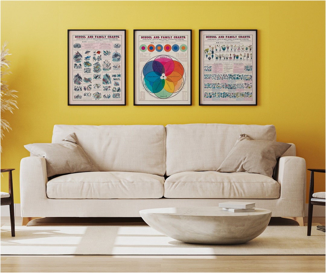 Set of 3 Vintage Classroom Posters Classroom Printable Wall Art Color Theory Botany Vintage