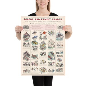Vintage ästhetische Vögel Art Print - Altes Lehrbuch der Wissenschaft - Vintage Zeichnung Poster - Vogel Natur Druck - Geschenk für Vogelliebhaber