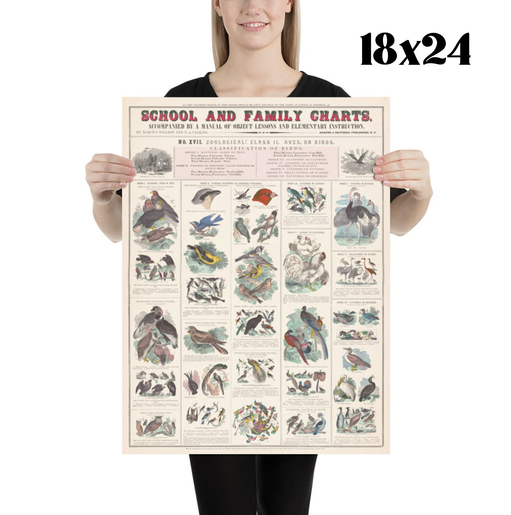 Set of 3 Vintage Classroom Posters - Classroom Printable Wall Art ...