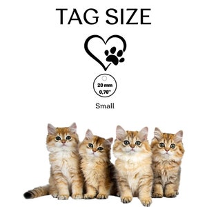 May include: Four golden tabby kittens sitting in a row. The kittens are looking at the camera. Above the kittens is a black and white image of a heart with a paw print inside. The text "TAG SIZE" is above the heart. Below the heart is a circle with the text "20 mm 0.78" and the word "Small".