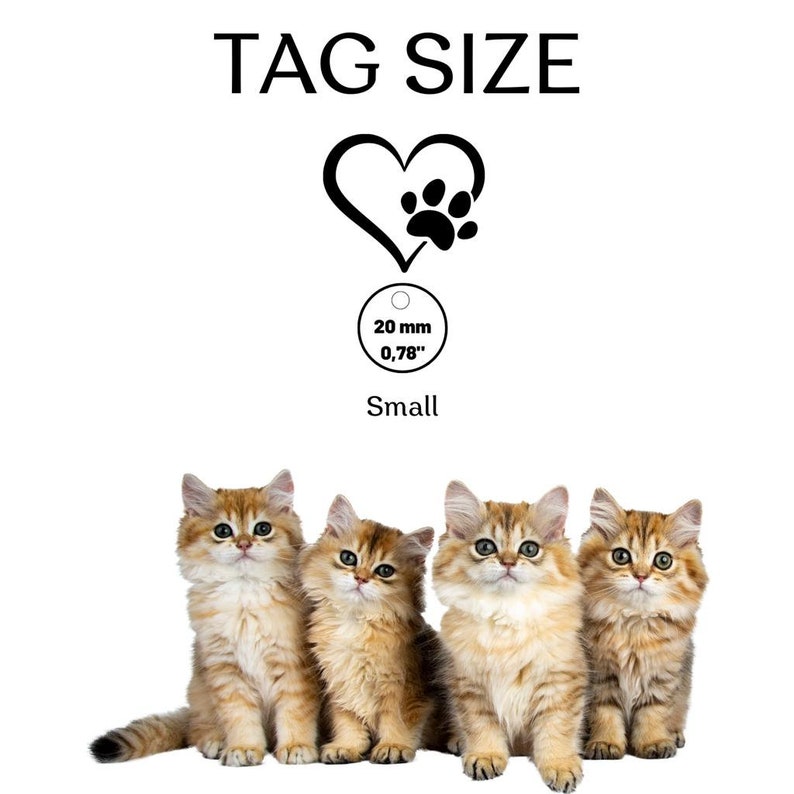May include: Four golden tabby kittens sitting in a row. The kittens are looking at the camera. Above the kittens is a black and white image of a heart with a paw print inside. The text "TAG SIZE" is above the heart. Below the heart is a circle with the text "20 mm 0.78" and the word "Small".