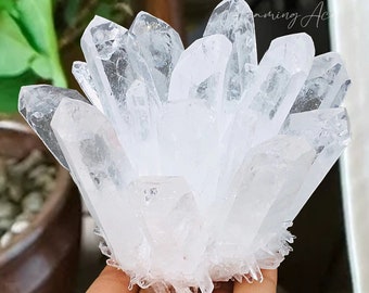 Raw Clear Quartz, Natural Crystal Cluster, Quartz Point VUG, Clear Quartz Cluster Crystal, Mineral Specimen 200-1000G