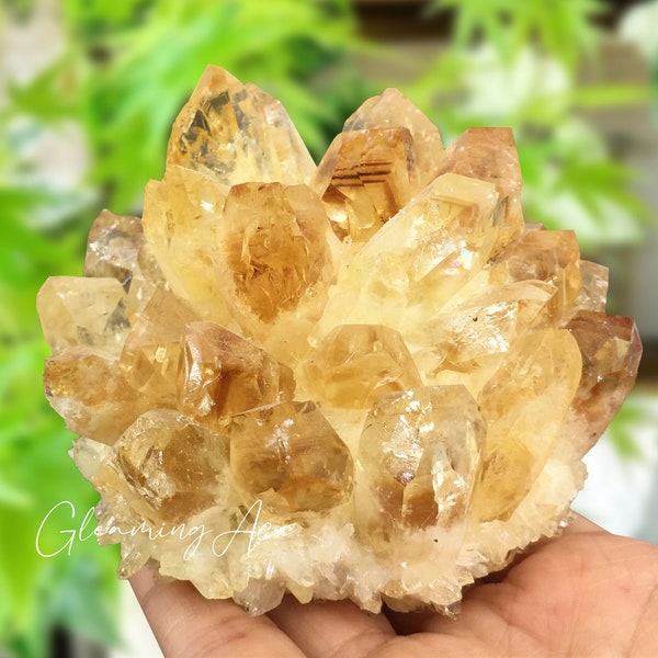 Citrine Quartz Cluster, Citrine Cathedral, Raw Yellow Citrine Cluster, Quartz Crystal Cluster Specimen Crystal Gifts