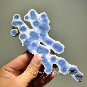 Natural Blue Coral Slabs Blue Ridge Coral Slice
