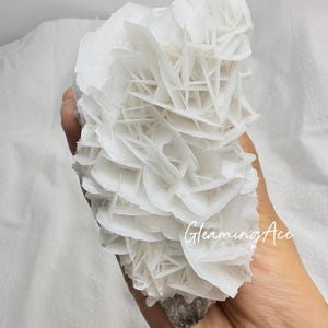 Puede incluir: Una gran formación cristalina de rosa del desierto blanca. El cristal tiene una estructura en capas, en forma de pétalos, con una superficie rugosa y texturizada. El cristal se sostiene en una mano sobre un fondo blanco. El texto "Gleaming Ace" es visible.