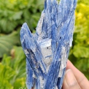 Natural Blue Kyanite Crystal, Raw Kyanite Specimen Kyanite Cluster Home Decor